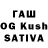 APVP VHQ Raisa Tansiqbaeva