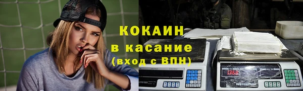 твердый Лагань