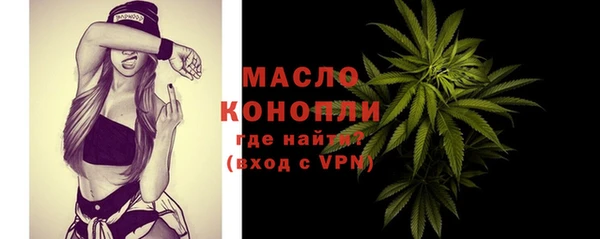 твердый Лагань