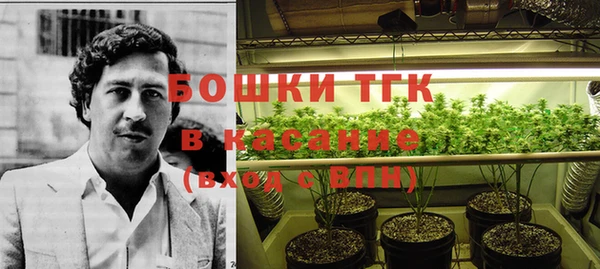 твердый Лагань