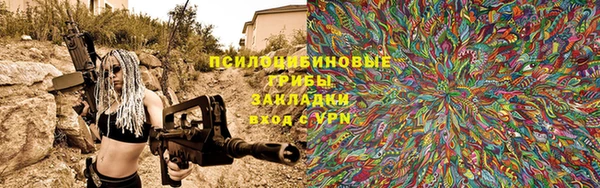 твердый Лагань